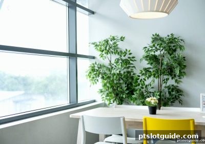 pt电子游戏启发：真人桌游团队协作的全面攻略与战术解析
