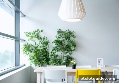 pt电子游戏真人桌游沉浸式体验全解析：从入门到精通