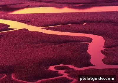 pt电子游戏老虎机彩票：组合与单号选号的实战策略解析