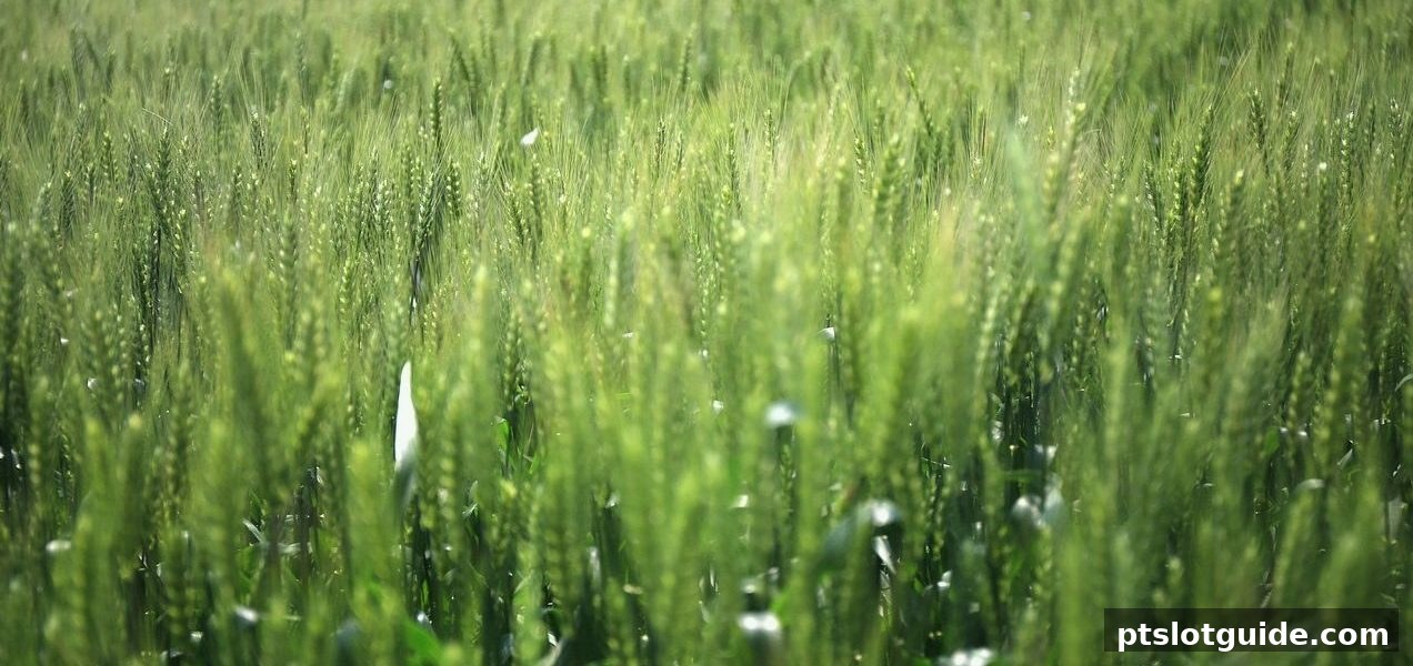 pt电子游戏签到机制与吞吐周期：深度解析高效玩法