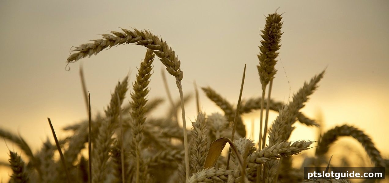 pt电子游戏玩家指南：幸运飞艇亏损补偿机制全面解读